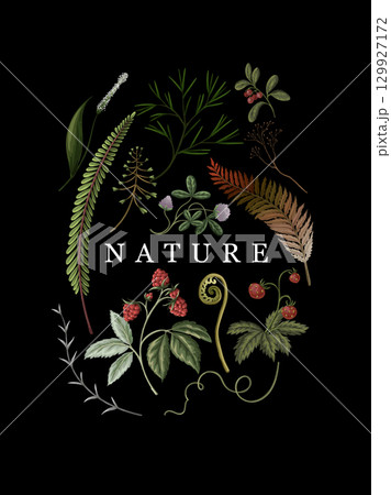 Autumn Vector Wood Fern Plants Berries Botanical Nature Floral Illustration Autumn Vector Wood Fern Plants Berries Botanical Nature Floral Illustration 129927172