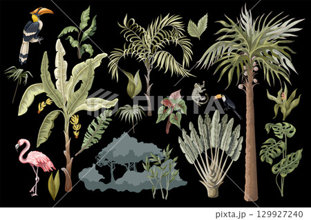 Jungle animals, flowers and trees isolated. Vector. Jungle animals, flowers and trees isolated. Vector. 129927240