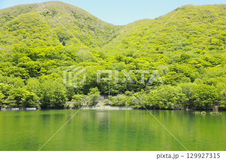 新緑に包まれた湖畔 129927315