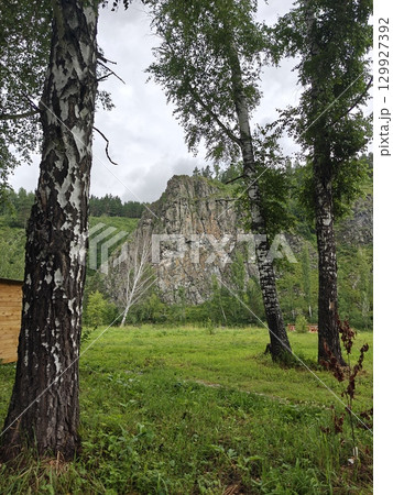 Picturesque Mountain View Framed by Birch Trees A Nature Escape for Travel and Tourism Picturesque Mountain View Framed by Birch Trees A Nature Escape for Travel and Tourism 129927392