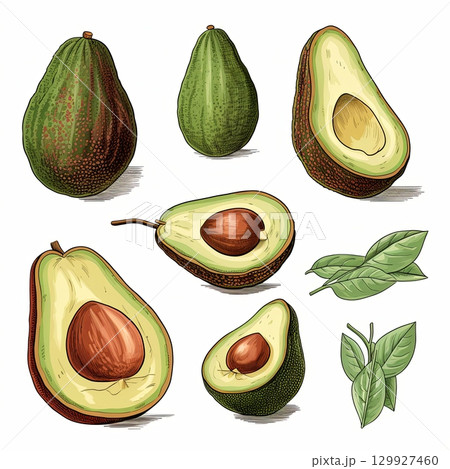 Artistic Avocado Still Life Fresh Green Fruit Illustration for Healthy Eating Concepts, Isolated 129927460