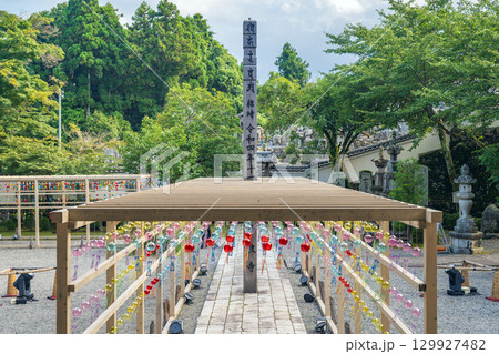 滋賀大津 西教寺 境内の夏景色 滋賀大津 西教寺 境内の夏景色 129927482