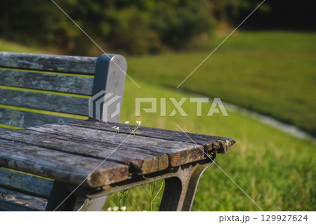 [兵庫県立有馬富士公園]公園の中に設けられた木製のベンチ 129927624