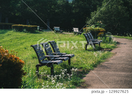 [兵庫県立有馬富士公園]公園の中に設けられた木製のベンチ 129927625