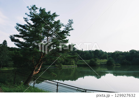 [兵庫県立有馬富士公園]自然豊かな公園 129927632
