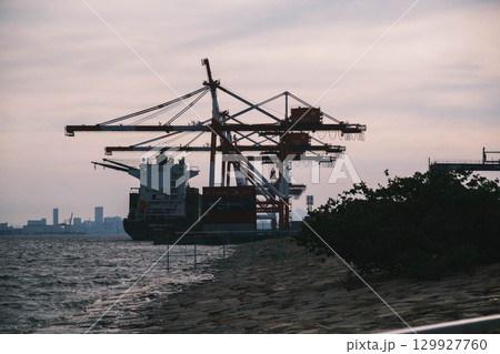 [六甲マリンパーク]夕暮れ時の港の風景 129927760