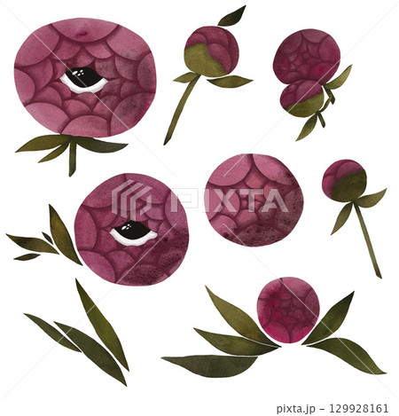 Watercolor pink peonies isolated on white cardboard, set of rose peonies with eyes, peony bouquet illustration, flower composition with leaves and eyes 129928161