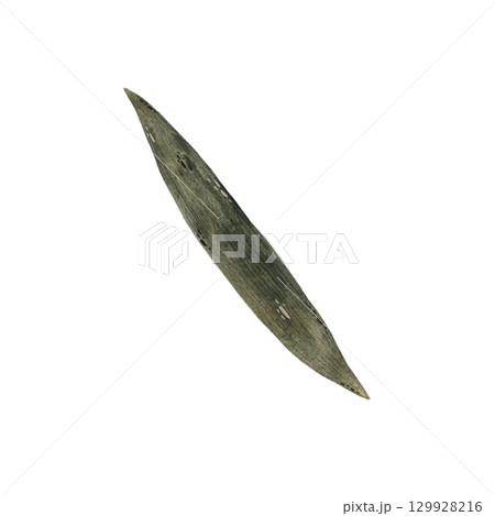 Watercolor succulent green leaf of iris flower illustration, iris leaf isolated on white background, botanical illustration of long smooth leaf of plant in shades of green, hand drawn plant leaf 129928216
