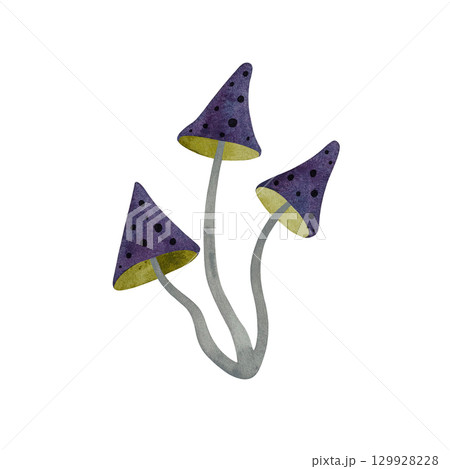 Watercolor illustration of three magical mushrooms with purple-green caps and gray stems on a white background. Whimsical and enchanting, perfect for fantasy designs, fairytale themes, and nature Watercolor illustration of three magical mushrooms with purple-green caps and gray stems on a white background. Whimsical and enchanting, perfect for fantasy designs, fairytale themes, and nature 129928228