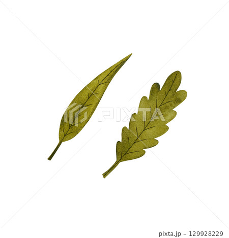 Watercolor illustration of a pair of stylized green leaves on a white background. Simple and elegant, perfect for botanical designs, spring themes, or minimalist projects. Hand-painted with a delicate Watercolor illustration of a pair of stylized green leaves on a white background. Simple and elegant, perfect for botanical designs, spring themes, or minimalist projects. Hand-painted with a delicate 129928229