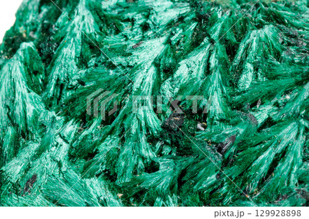 Macro mineral stone plisoviy, plush, satin malachite on a white background 129928898