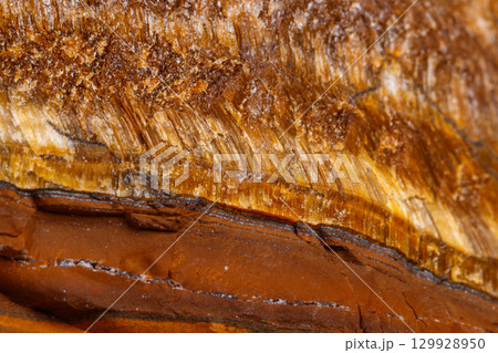 Macro mineral stone Tiger's eye in the breed on a white background 129928950