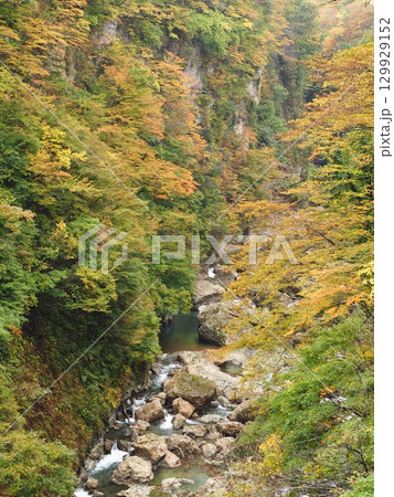 秋田県 小安峡の大噴湯と紅葉|東北の自然美を楽しむ旅 秋田県 小安峡の大噴湯と紅葉|東北の自然美を楽しむ旅 129929152
