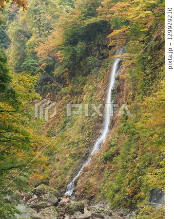 田観光の名所 小安峡大噴湯|紅葉シーズンの人気スポット 田観光の名所 小安峡大噴湯|紅葉シーズンの人気スポット 129929210