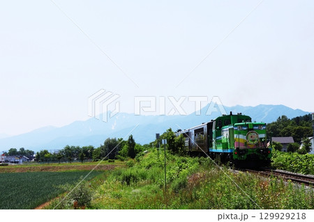 JR富良野線 ラベンダー畑駅付近を走行する富良野・美瑛ノロッコ号 129929218