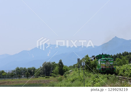 JR富良野線 ラベンダー畑駅付近を走行する富良野・美瑛ノロッコ号 129929219
