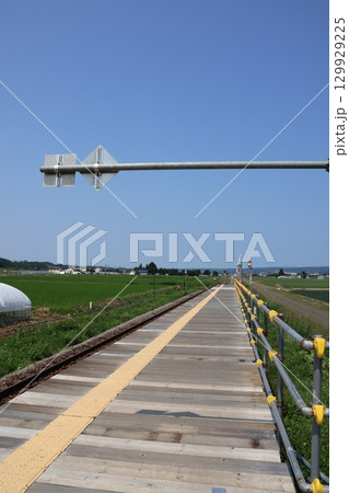 花の季節、期間限定で開設されるJR富良野線のラベンダー畑駅 129929225