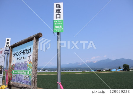 花の季節、期間限定で開設されるJR富良野線のラベンダー畑駅 129929228