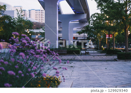 [六甲アイランド]美しい夜景 129929340