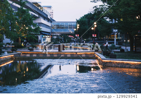 [六甲アイランド]美しい夜景 129929341