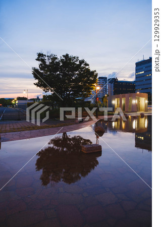 [六甲アイランド]美しい夜景 129929353