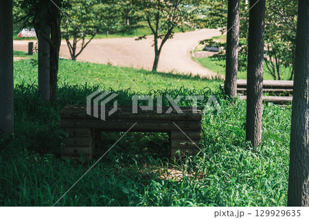 [うだ･アニマルパーク]木製のベンチ 129929635