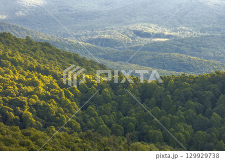 Morning landscape of summer forest on Appalachian mountain hills in North Carolina. Summertime landscape of beautiful nature 129929738