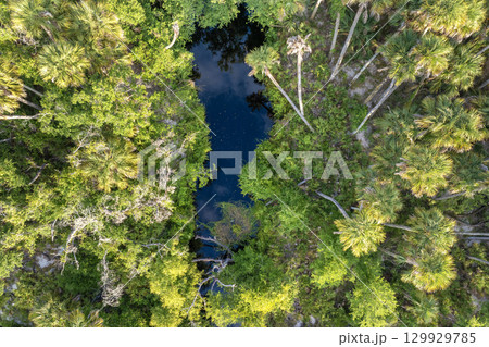 Florida wetlands nature from above. Jungles with palm trees and tropical vegetation in southern USA Florida wetlands nature from above. Jungles with palm trees and tropical vegetation in southern USA 129929785