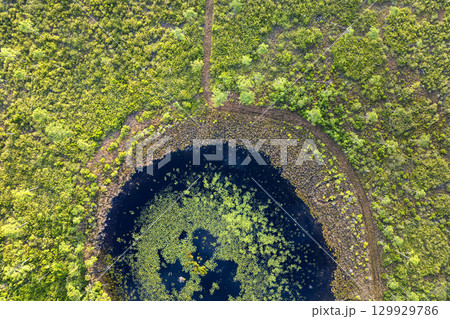 Beautiful nature landscape. Forest lake wildlife in Florida Beautiful nature landscape. Forest lake wildlife in Florida 129929786