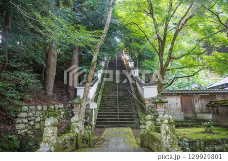 滋賀大津 西教寺 真盛上人廟への石段 129929801