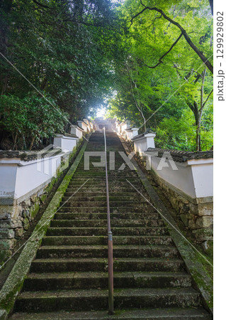 滋賀大津 西教寺 真盛上人廟への石段 129929802