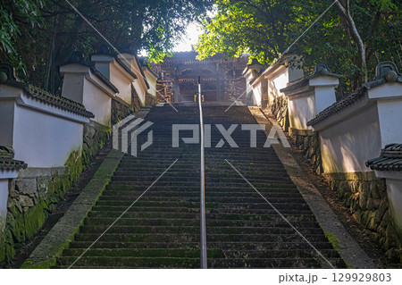 滋賀大津 西教寺 真盛上人廟への石段 129929803