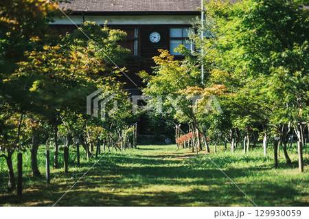 [奈良カエデの郷ひらら]旧宇太小学校の風景 129930059