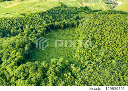 Top down aerial view of green summer forest with large area of cut down trees as result of global deforestation industry. Harmful human influence on world ecology. 129930293