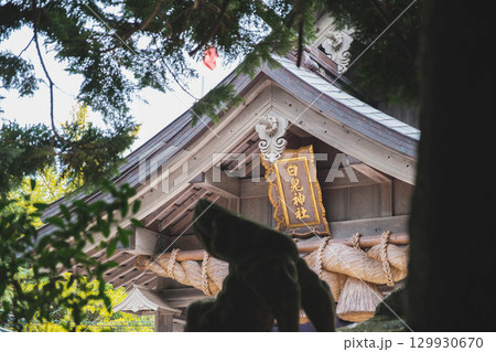[白兎神社]鳥取にある歴史的な神社 129930670