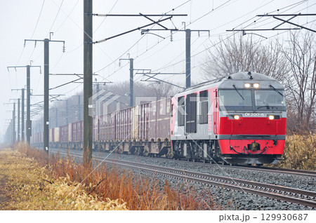 千歳線 植苗-美々 JR貨物 DF200-6(五稜郭) 千歳線 植苗-美々 JR貨物 DF200-6(五稜郭) 129930687