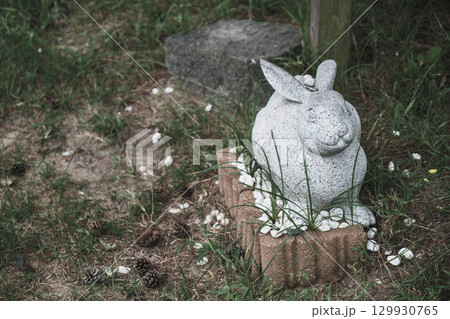 [白兎神社]鳥取にある歴史的な神社・可愛らしい兎の石像 129930765
