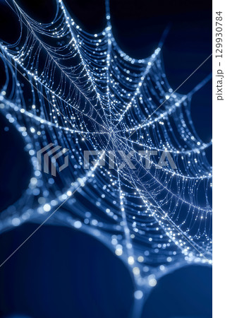 光に照らされた幻想的なクモの巣 129930784