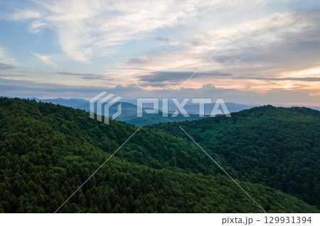 Aerial view of green pine forest with dark spruce trees covering mountain hills. Nothern woodland scenery from above 129931394