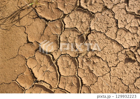 Ground cracked from drought showing dry, parched soil under bright sunlight in a rural area 129932223
