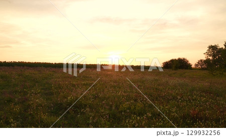 Sunset over a wildflower meadow, peaceful countryside landscape at dusk, golden sunlight on the field, serene rural scenery, evening light in nature, natural beauty of an open grassland, tranquil Sunset over a wildflower meadow, peaceful countryside landscape at dusk, golden sunlight on the field, serene rural scenery, evening light in nature, natural beauty of an open grassland, tranquil 129932256