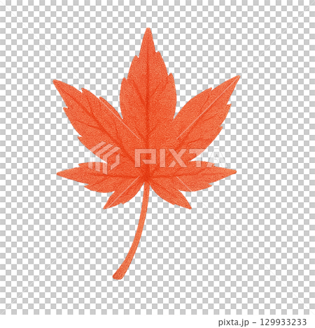 紅楓葉水彩插圖(剪切) 紅楓葉水彩插圖(剪切) 129933233