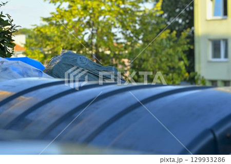 View of garbage bins. View of colorful trash bins. Colorful trash containers. The concept of waste, sustainable living, and the environment. 129933286