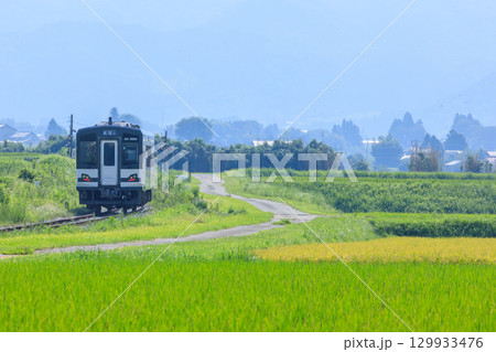 夏の田園地帯を走るMT-4000系　南阿蘇鉄道　熊本県阿蘇郡 129933476