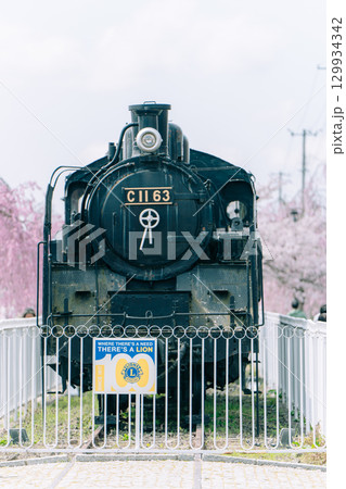 日中線記念自転車歩行者道に保存されているSL（C11形蒸気機関車）と桜 129934342