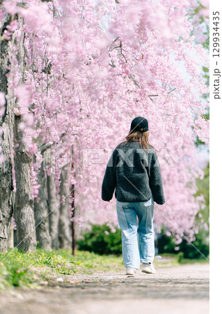 日中線しだれ桜と女性の後ろ姿 129934435