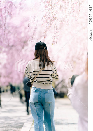 日中線しだれ桜と女性の後ろ姿 129934436