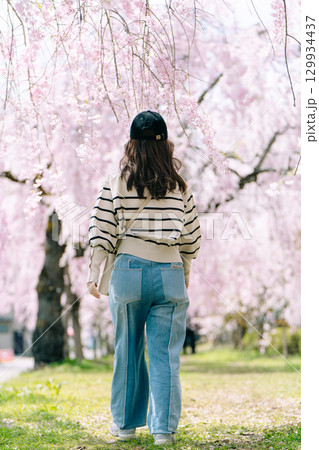 日中線しだれ桜と女性の後ろ姿 129934437
