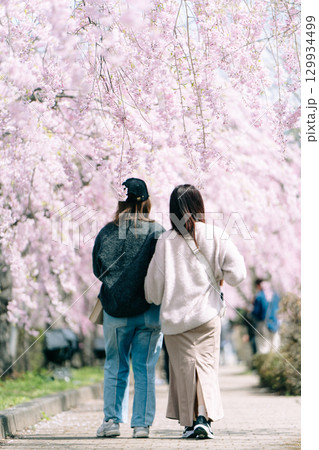 日中線しだれ桜と姉妹の後ろ姿 129934499