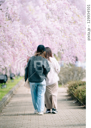 日中線しだれ桜と姉妹の後ろ姿 129934501